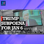 Narativ with Zev Shalev