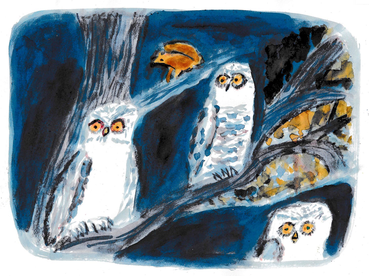 three owls and a squirrel by Beth Spencer