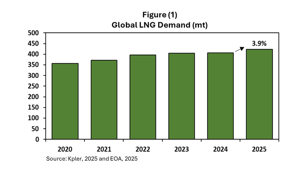 Annual Review of the Global LNG Market in 2025 and Outlook for 2026