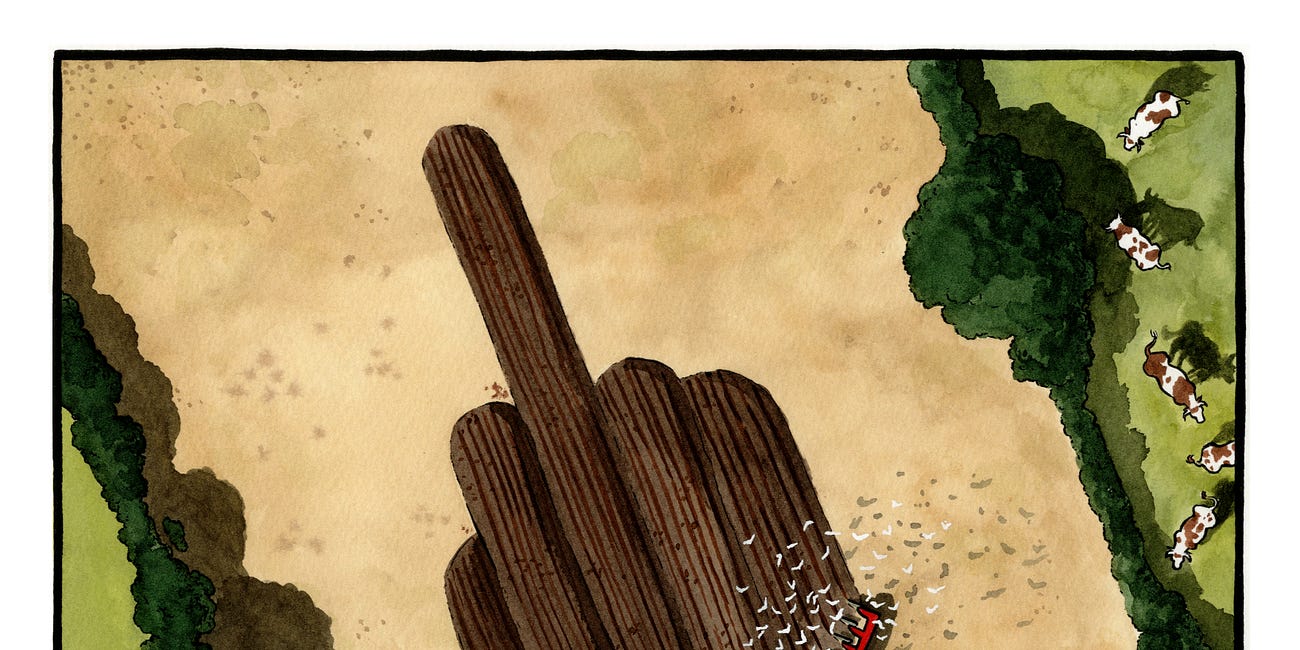 what’s happening in the netherlands?