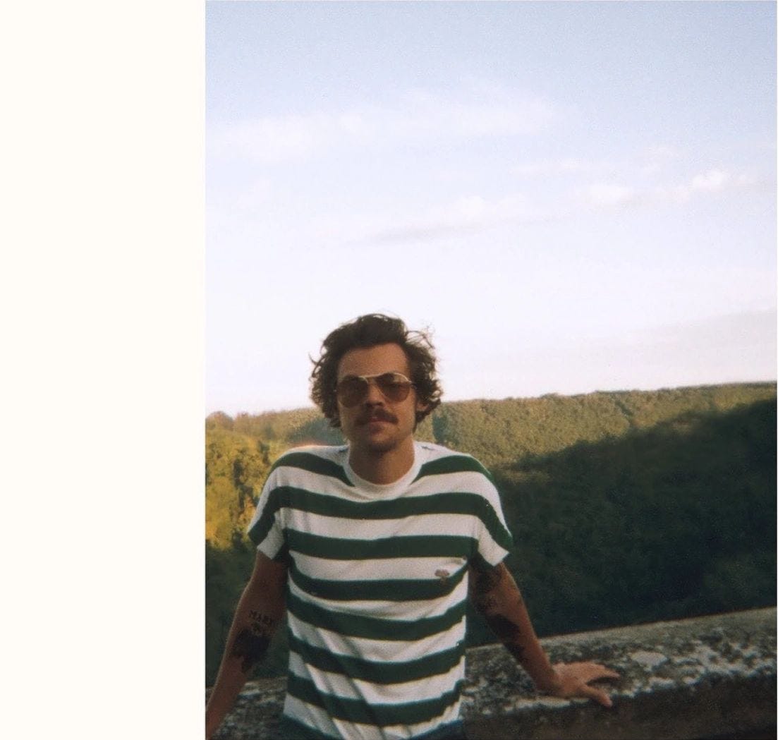 Harry Styles being Gay