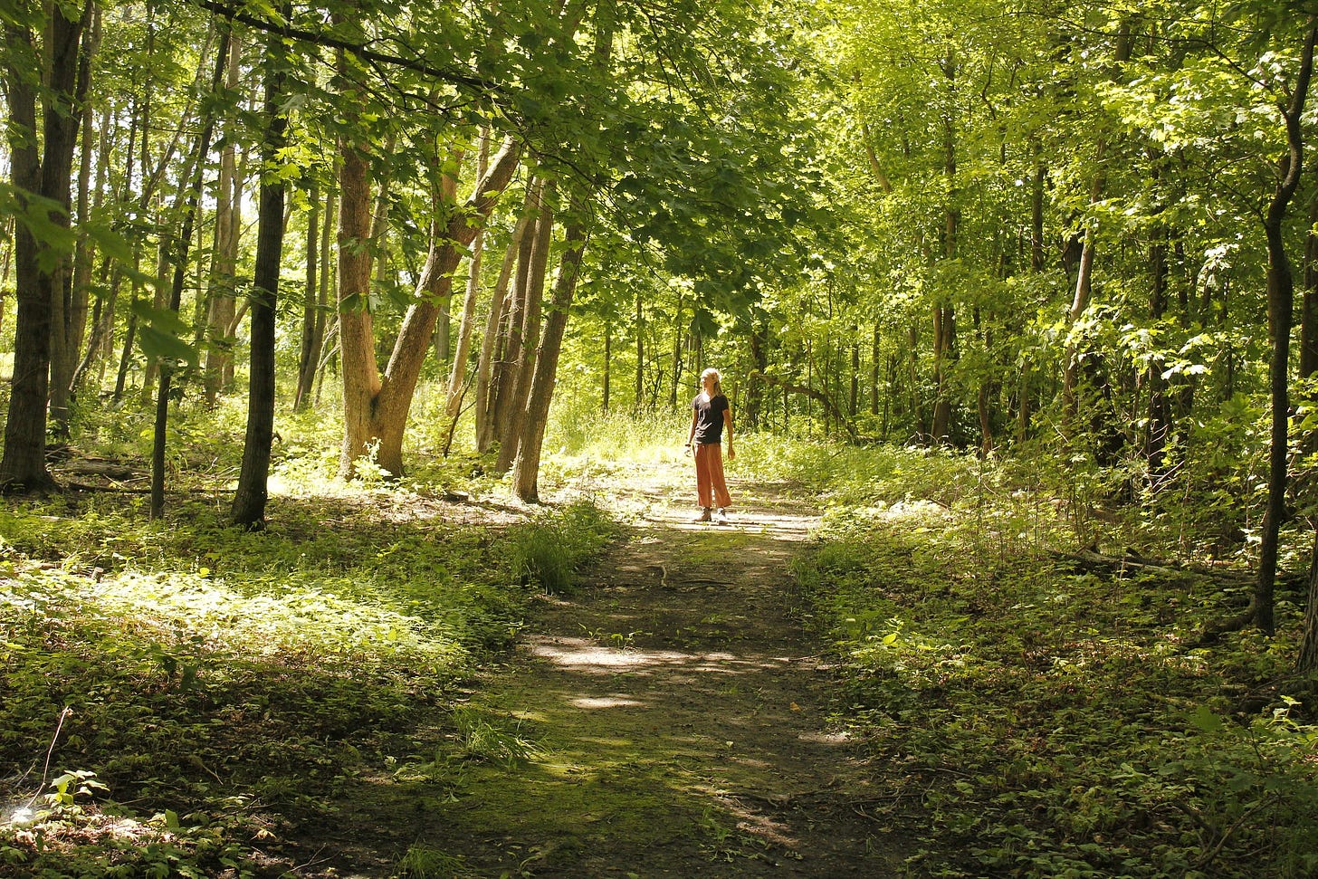 a woman standing in a sunny spot in a forest