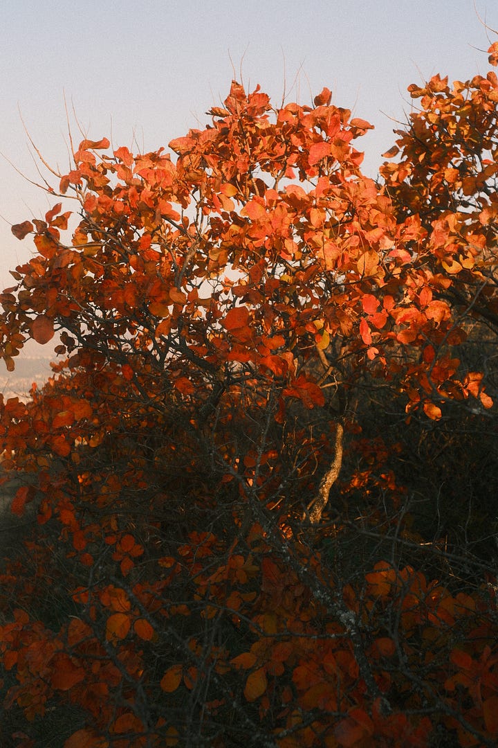 Are this pictures perfect if we do not compare of