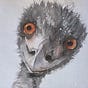 Rothgar Duck's avatar