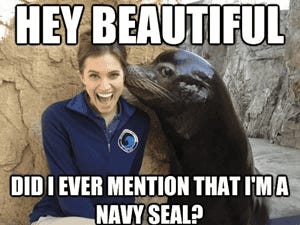 Dive Into Laughter: The Funniest Marine Memes | VeteranLife