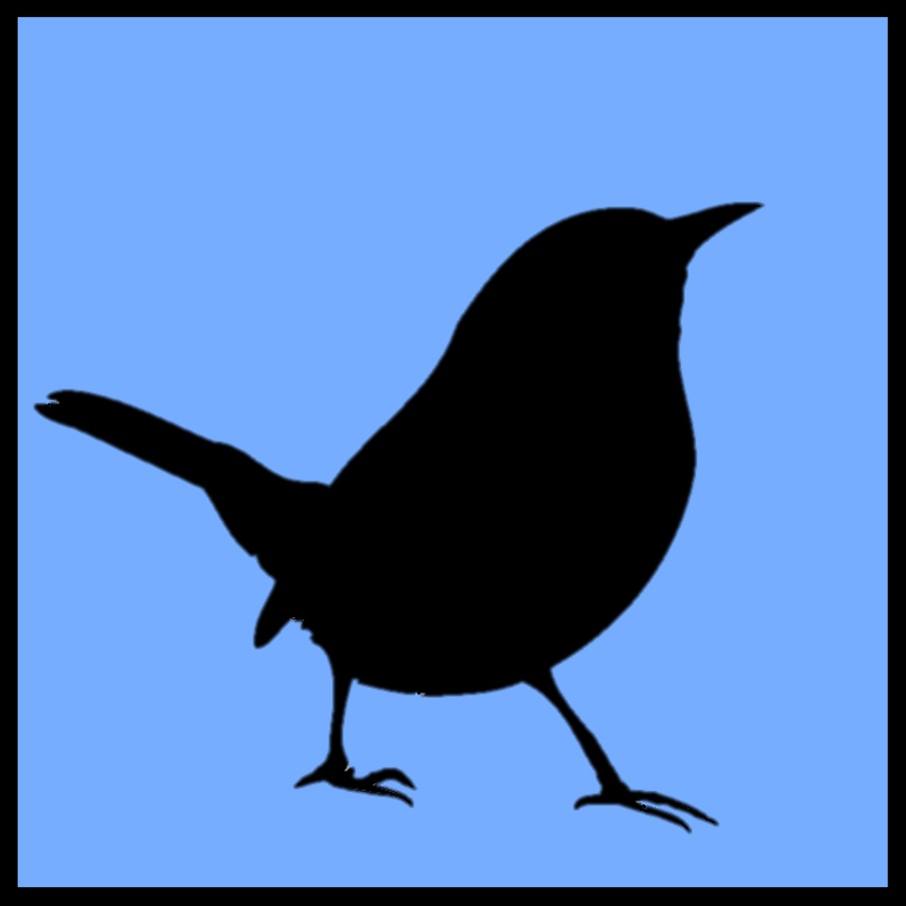 Artwork for PhotoSynthesis