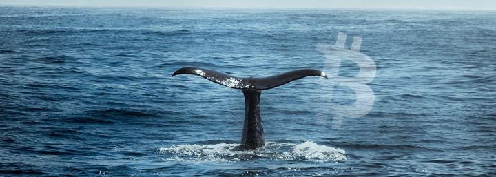 Bitcoin whale activity suggests July could be a great month for BTC Bitcoin whale activity suggests July could be a great month for BTC