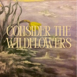 Artwork for consider the wildflowers