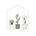 A Houseplant Journal