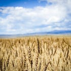 What does AI have to do with theology?