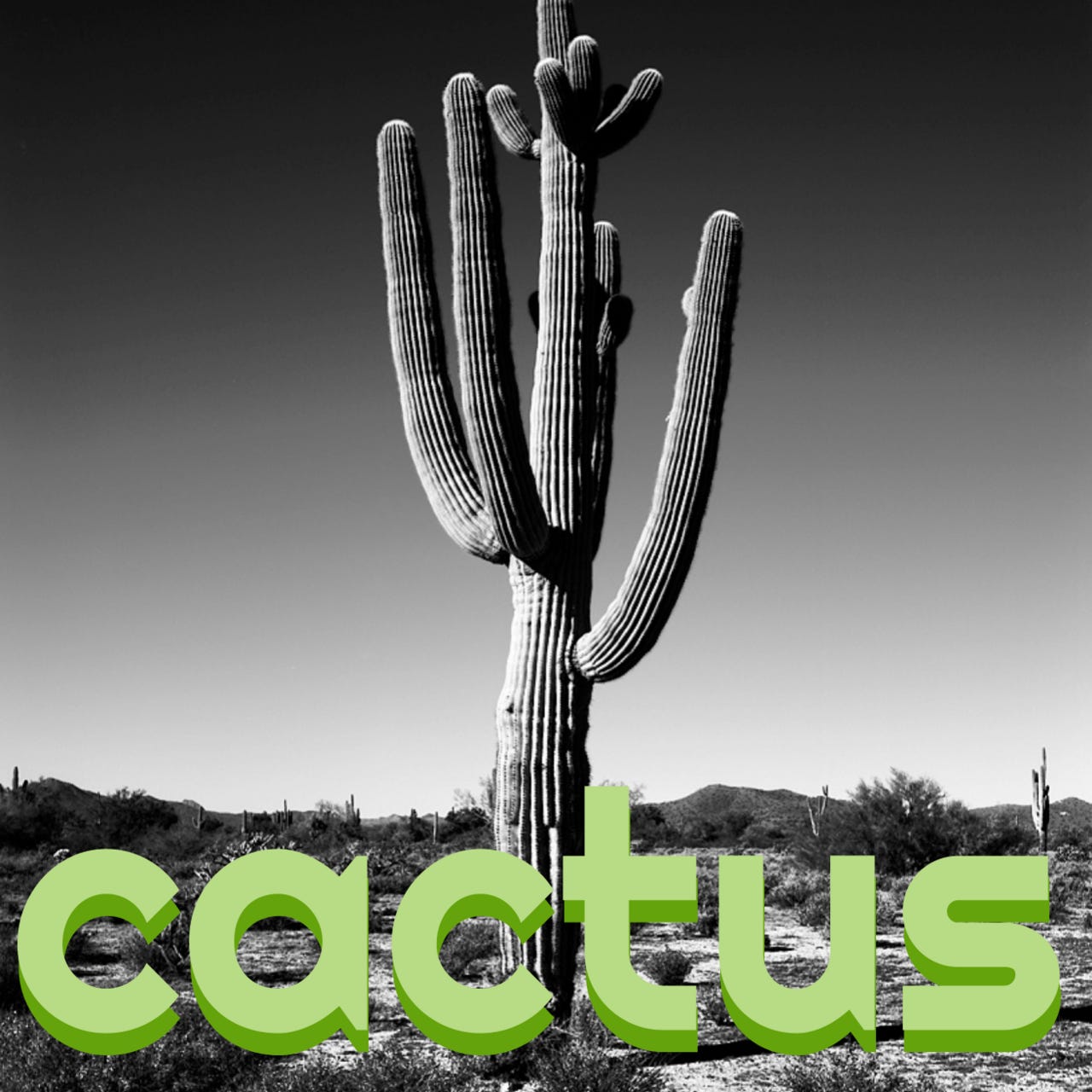 Cactus