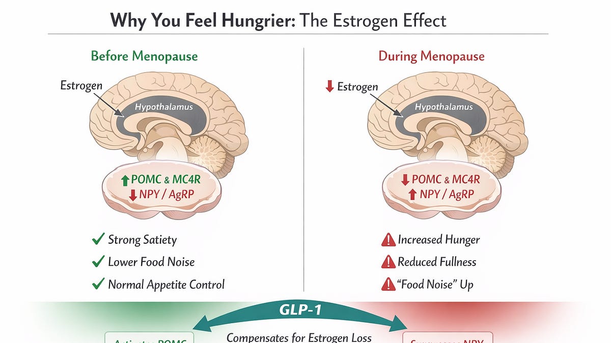 menopause and glp 1 Menopause, Hunger, and the Brain