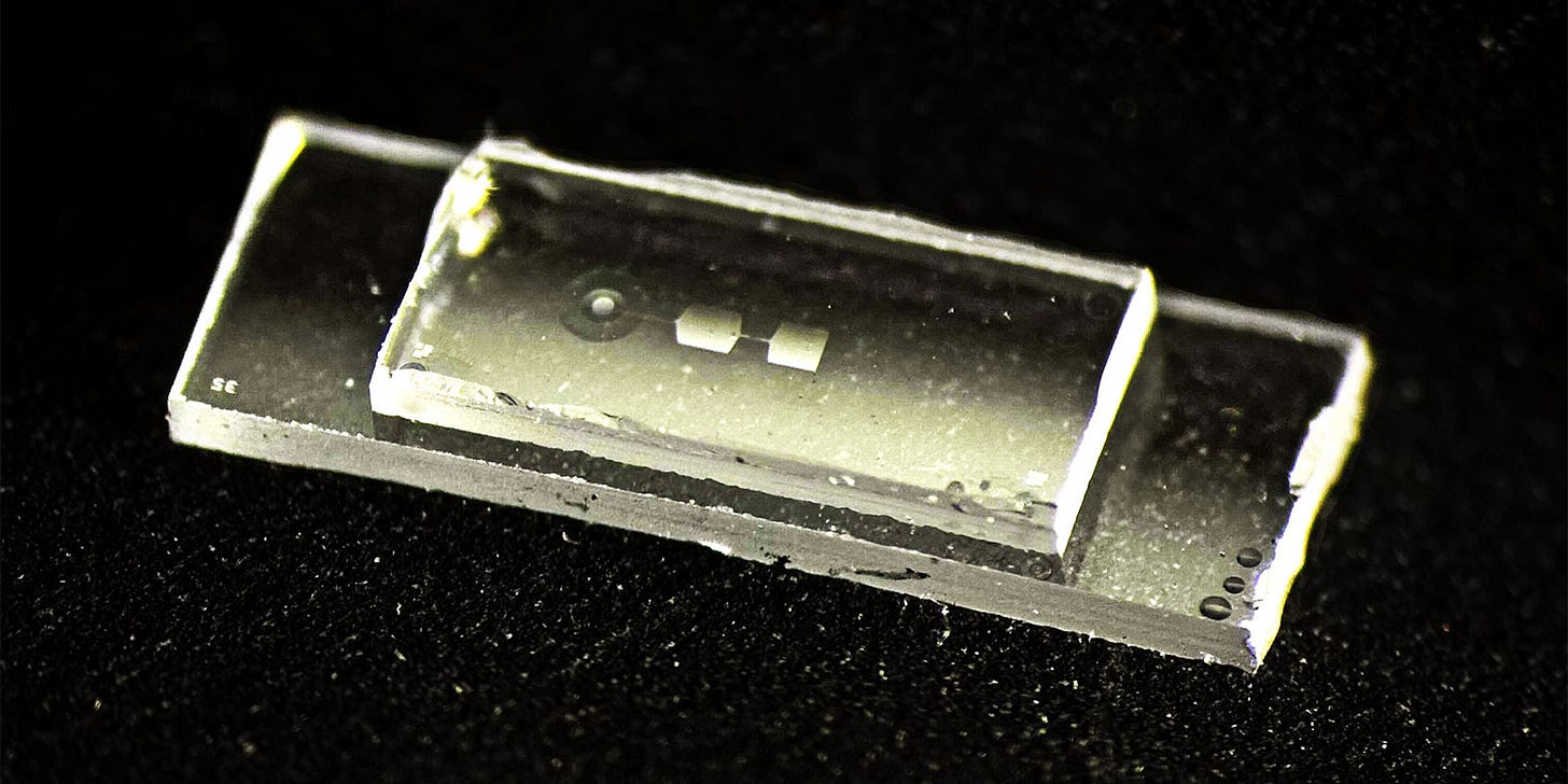 The new quantum chip is rectangular and only as wide as a small fingernail