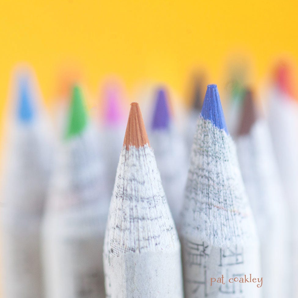 Notes From My Bunker