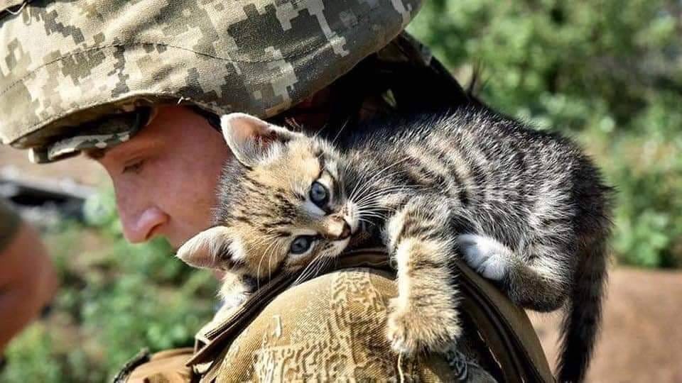 The Love That Keeps Ukraine Alive