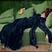 constanze price's avatar