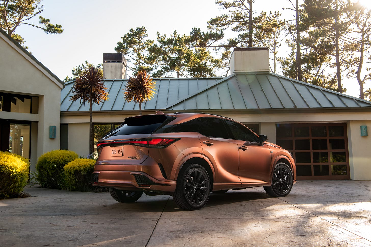 2023 Lexus RX