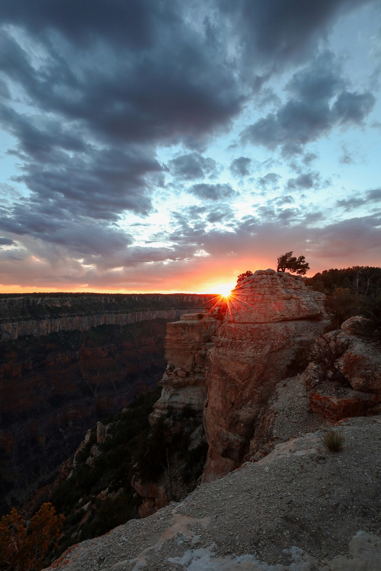 The Grand Canyon at sunset