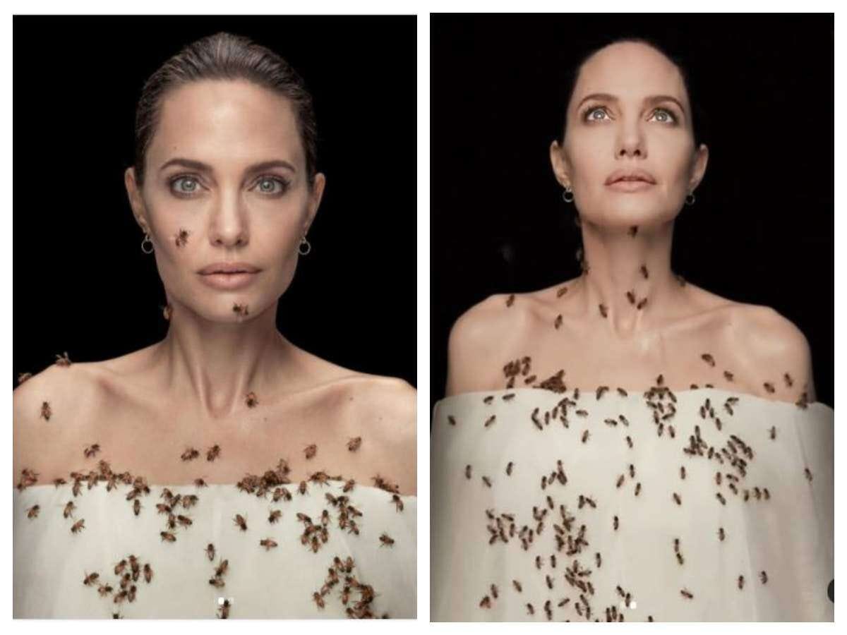 World Bee Day: Angelina Jolie | Femina.in World Bee Day: Angelina Jolie | Femina.in
