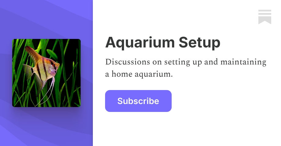 aquariumsetup.substack.com