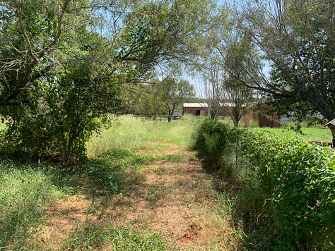 Initial Exterior Photos