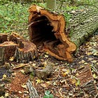 Volatility Crush Exposes a Hollow Rally