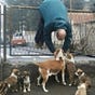 Smellydogs's avatar
