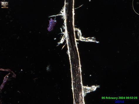 the formation of multiple polymer based fibers