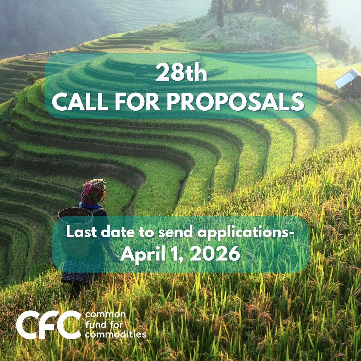 Common Fund for Commodities: USD 300,000 to 1.5 Million in Funding Now Open