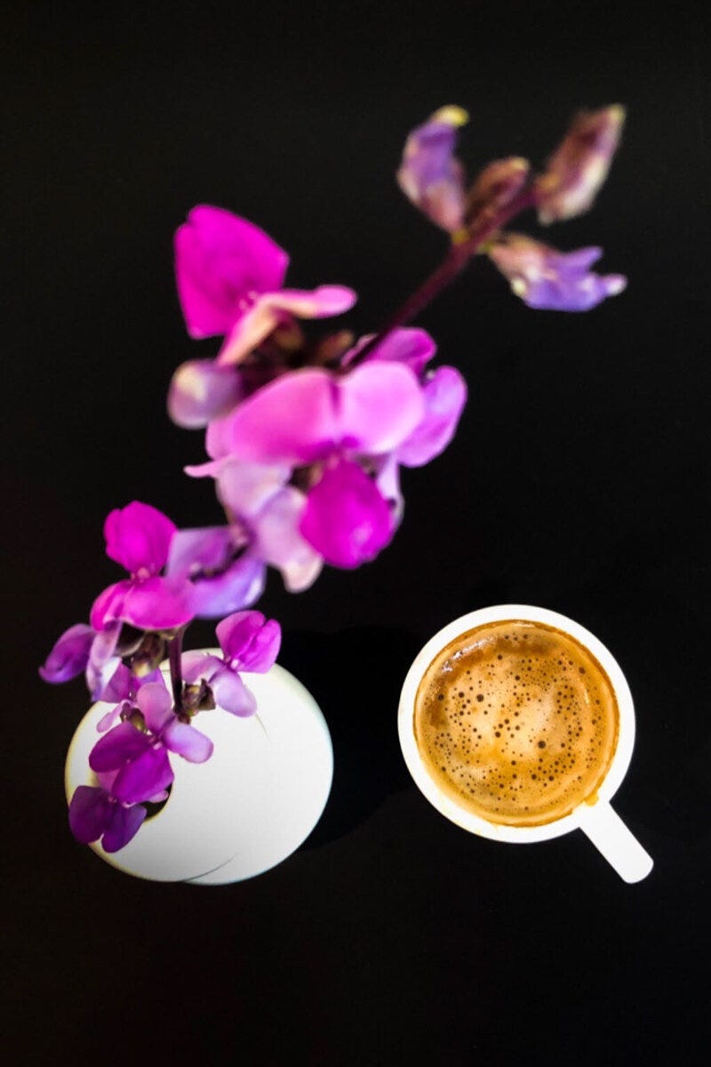 A preview post for Sheep &amp; Meadow that ACS  posted on Instagram .