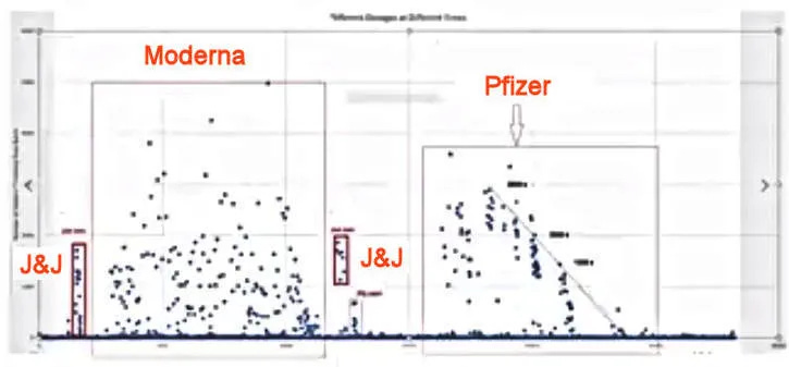 Pasted Graphic 1.png