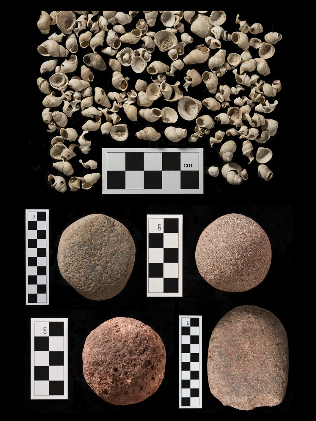 Above, shells found alongside faience fragments in the stratified production layers at the Sanam Temple, Napata, Sudan, which seem to have played a role in the manufacturing process. Below, grindstones from the same layers, likely also used to make faience. Photo from Lemos et al. 2026, Antiquity, CC BY 4.0. Above, shells found alongside faience fragments in the stratified production layers at the Sanam Temple, Napata, Sudan, which seem to have played a role in the manufacturing process. Below, grindstones from the same layers, likely also used to make faience. Photo from Lemos et al. 2026, Antiquity, CC BY 4.0.