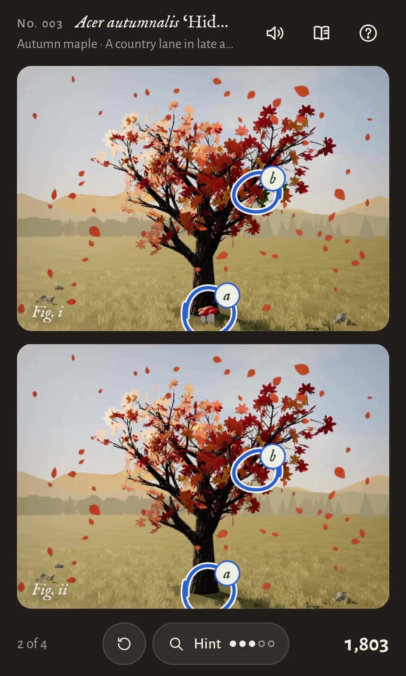 Screenshot of a mobile spot-the-difference puzzle game with a dark interface. Header reads "No. 003 Acer autumnalis ‘Hid…" with subtitle "Autumn maple · A country lane in late a…" and icons for sound, a book, and help. Two nearly identical 3D-rendered scenes are stacked vertically, labeled "Fig. i" and "Fig. ii", each showing a dark-trunked maple tree with red, orange and pale peach leaves, leaves falling through the air, a golden grassy field with a few small rocks, and hazy hills with pine silhouettes under a pale sky. Two differences are circled in blue in both images: circle "a" at the base of the trunk, where Fig. i has a small red mushroom that is missing in Fig. ii, and circle "b" in the right side of the canopy, where Fig. i has a patch of green leaves that are red in Fig. ii. The bottom bar shows "2 of 4", a reset button, a "Hint" button with three filled and two empty dots, and a score of "1,803".