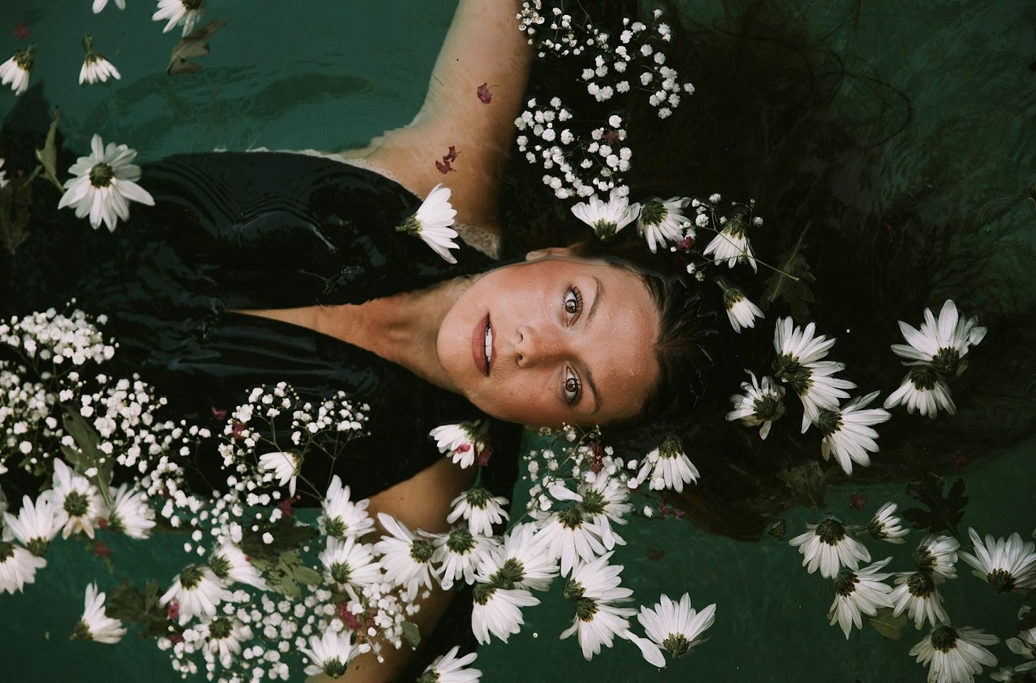 woman swimming covered by white daisies woman swimming covered by white daisies
