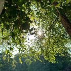 Take Moments to Be Still