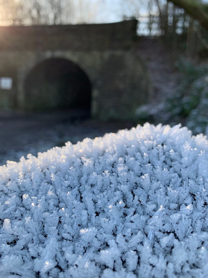 ice crystals in snow