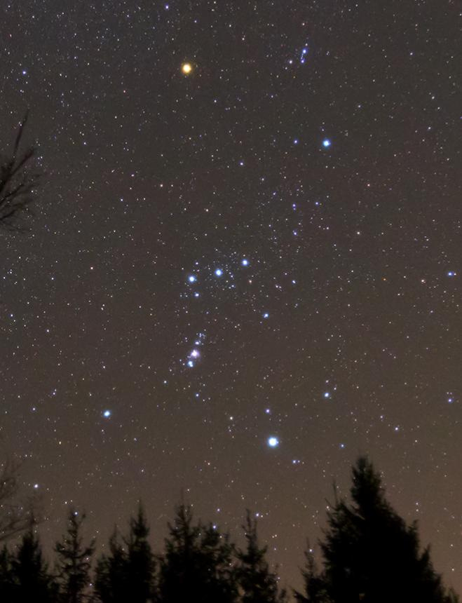 Betelgeuse is the bright orange star seen near the top. It marks one of the shoulders of Orion. Image Credit: Wikimedia Betelgeuse is the bright orange star seen near the top. It marks one of the shoulders of Orion. Image Credit: Wikimedia