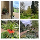 The Gallery Series #1