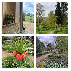 The Gallery Series #1