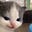 Gion's avatar