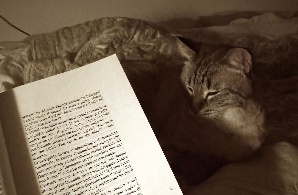 You should start reading to your pets.