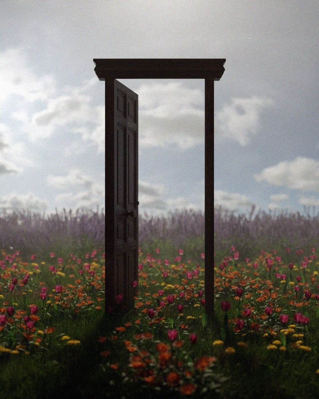 An Instagram  post added by hamzamajeedkhan on Dec 13, 2023. The author is @hamzamajeedkhan. May present: flower, cloud, sky, plant, ecoregion.
