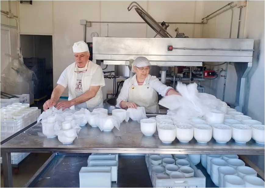 Imatge de l’última elaboració de formatge feta per la Pili i en Juanjo. Imatge de l’última elaboració de formatge feta per la Pili i en Juanjo.