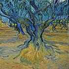 The Olive Tree's Secret