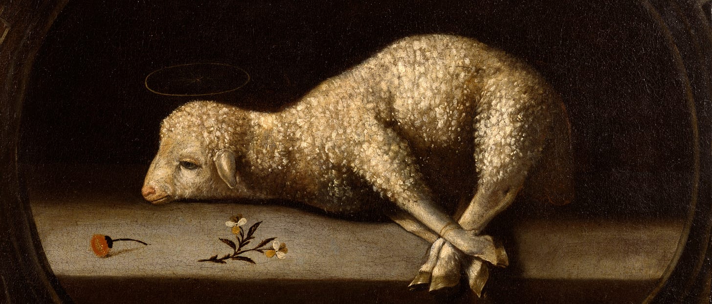 Os Cordeiros Pascais de Josefa de Óbidos