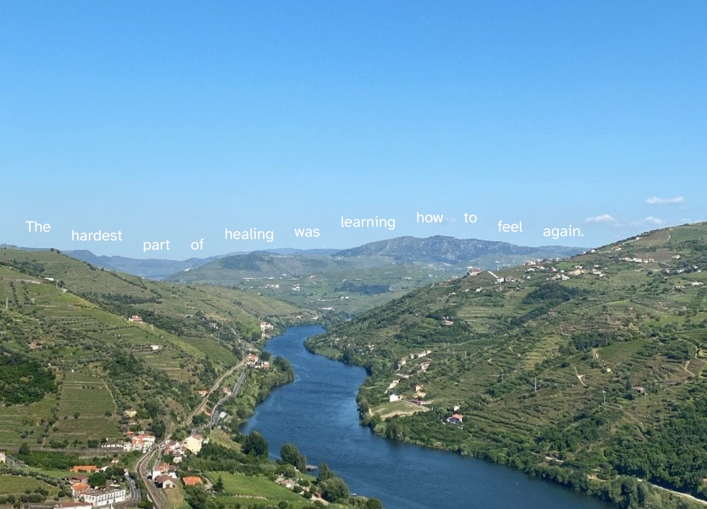 A river cutting through green mountains with the quote "The hardest part of healing was learning how to feel again."