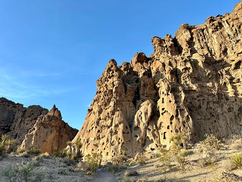 Desert landscapes, petroglyphs, cactus flower, campsite, and dogs