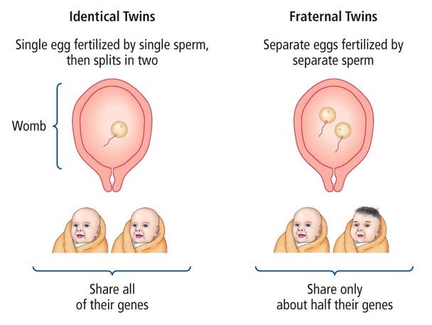 Adoption & Twin Studies AO1 AO2 AO3 - PSYCHOLOGY WIZARD