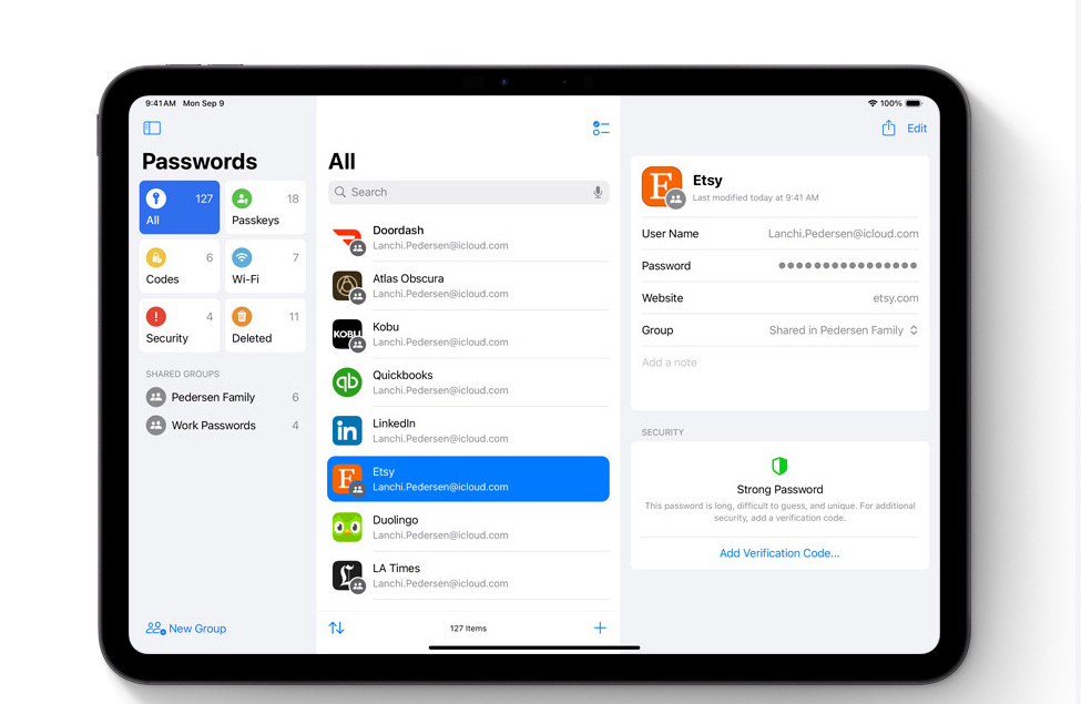 For obvious reasons, these aren't my passwords....jpeg