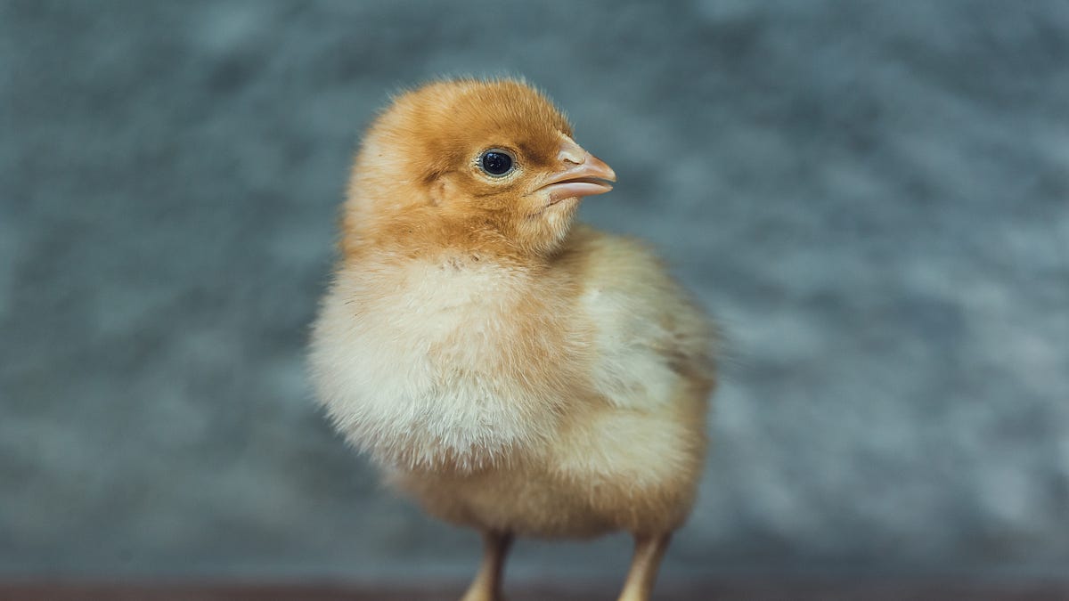 jacklawsonbooks.substack.com